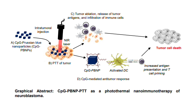 Graphical Abstract of treatment with CpG-PBNP-PTT