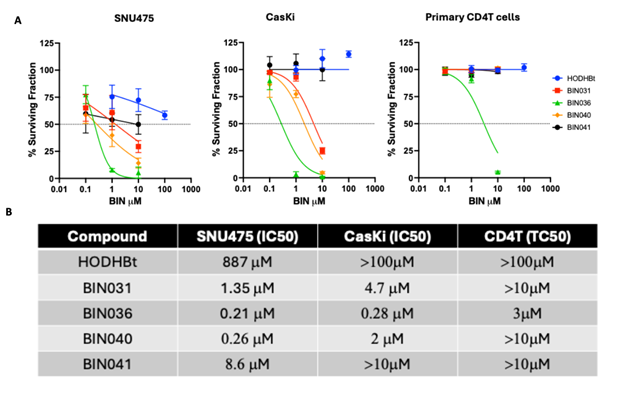 Figure showing efficacy of BIN compounds